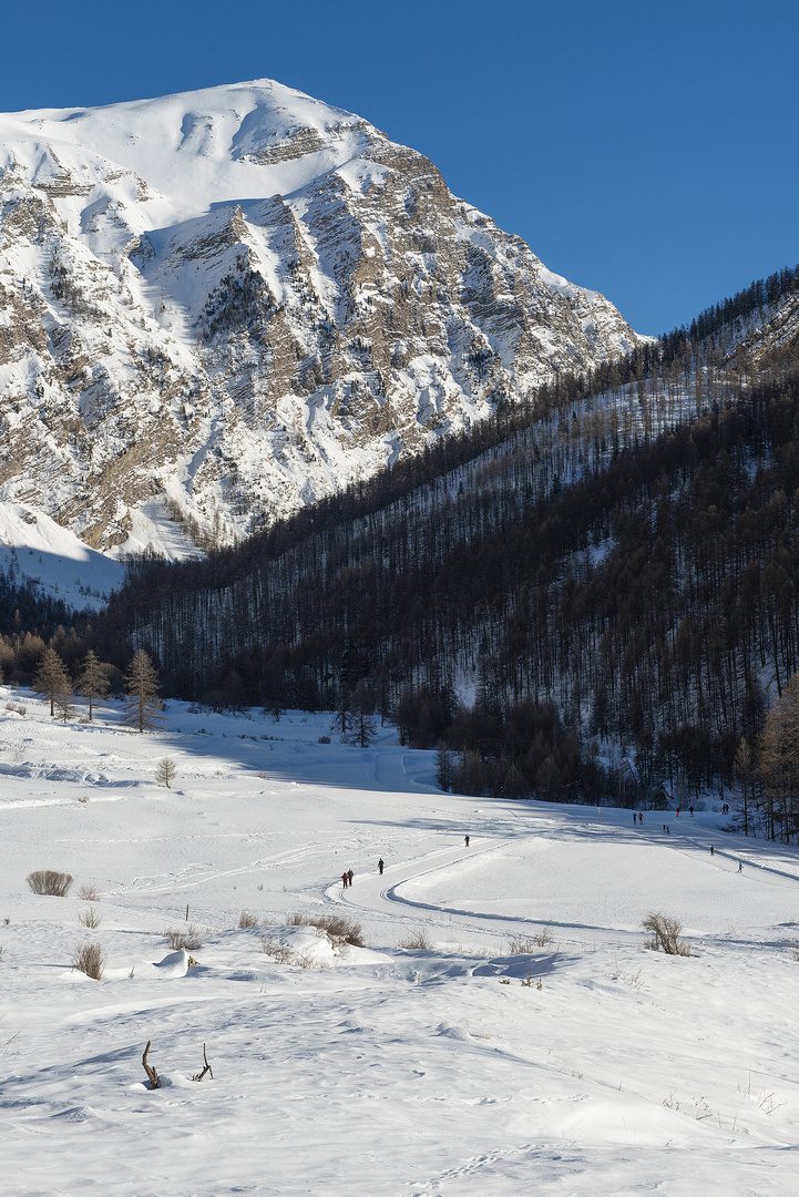 Le Naturographe - Crevoux_Biathlon_6.02.2019-34