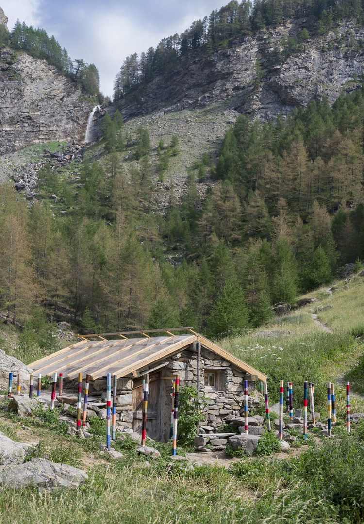 DSC_1951 (1)